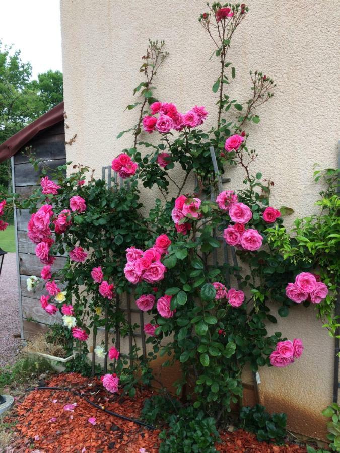 La Mimona Bed and Breakfast Sainte-Eulalie-en-Born Εξωτερικό φωτογραφία