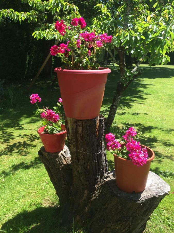 La Mimona Bed and Breakfast Sainte-Eulalie-en-Born Εξωτερικό φωτογραφία