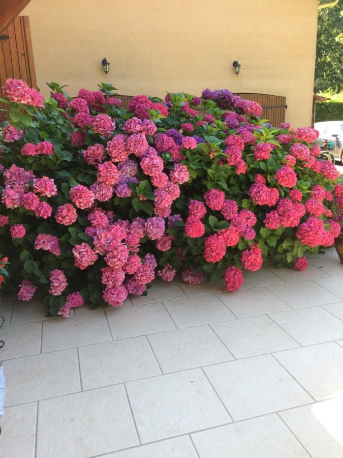 La Mimona Bed and Breakfast Sainte-Eulalie-en-Born Εξωτερικό φωτογραφία